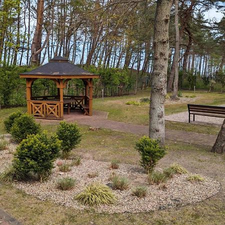 Dwie Sosny I Swierk Ustronie Morskie Luaran gambar